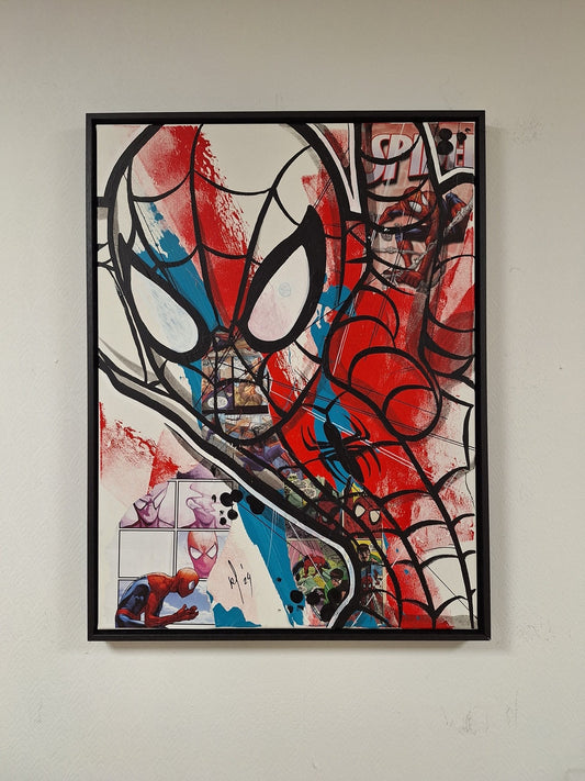 Spider-Man Remco Schakelaar
