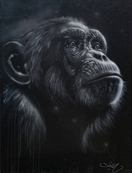 Dream by Dave Baranes Dave Baranes